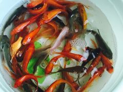 -芜湖新华联大白鲸海洋公园