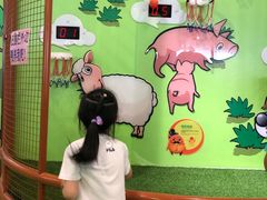 -中国宋庆龄青少年科技文化交流中心