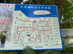 -东郊椰林