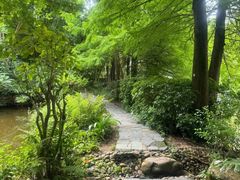 -深圳国际园林花卉博览园