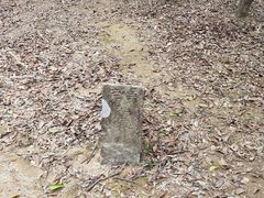 -黄埔油麻山森林公园