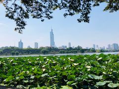 -扬州东关街文昌阁桔子水晶酒店
