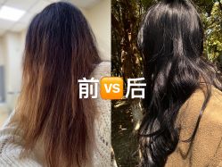 -蚂蚁造型沙龙