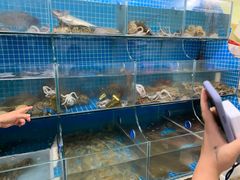 -宾朋海鲜特色美食餐厅·纯手工鲅鱼水饺(兴海路店)