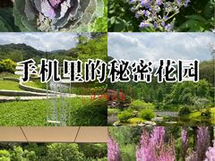 -云溪植物园