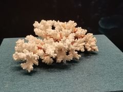 -上海中国航海博物馆