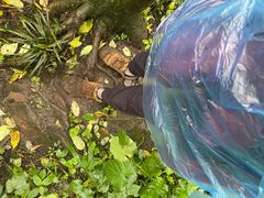 -西岭雪山大飞水景区