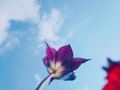 -长春公园(普阳街道)