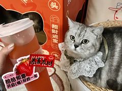 -鱼上·烤鱼(万象城店)