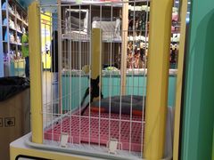 -龟与熊猫宠物公园(南坪店)