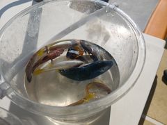 -铭轩中餐厅·海南菜·粤菜(亚龙湾瑞吉店)