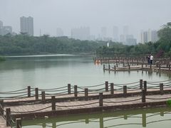 -广西壮族自治区药用植物园