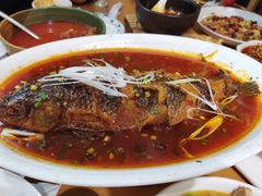 糖醋脆皮鱼-曾牛肉