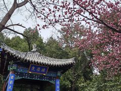 -泰山风景名胜区-虎山公园