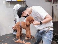 -PETKIT小佩宠物(昭化店)
