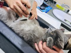 -派特宠物医院(圆融广场店)