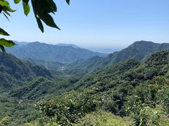 -大岭沟猕猴桃谷风景区