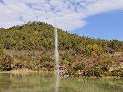 -广州白江湖森林公园