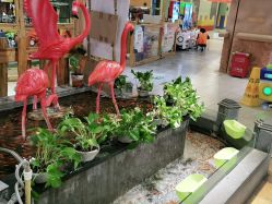 -卡通尼·Safari非洲探索乐园·生日会(金桥国际商业广场店)