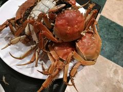 -蓝钻·国际美食海鲜自助百汇(西直门店)
