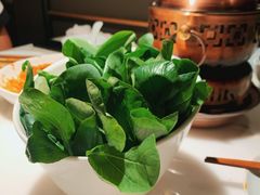 水煮鸡毛菜-初蓉丨遇见新川菜(亲贤街荣耀店)