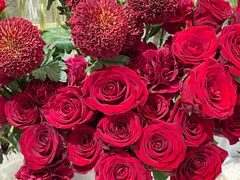 -植物学家的女儿(北马道巷店)