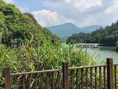 -酒仙湖景区