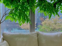 -精德口腔·种植修复·儿牙中心(财富中心店)