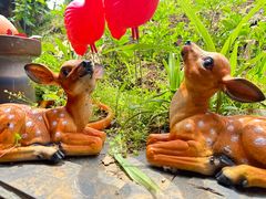 -鱼乐岛餐厅·户外花园主题餐厅