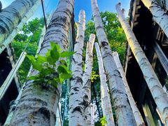 -Metal hands·铁手咖啡