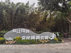 -新江湾城公园
