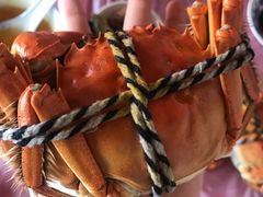 -丫丫蟹庄·苏式园林农家乐·阳澄湖大闸蟹(阳澄湖莲花岛店)