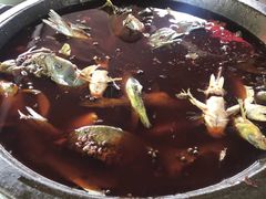 -老船夫石锅苗苗鱼·老字号(三道堰总店)