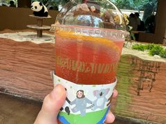 -ZOO COFFEE动物园咖啡(红山森林动物园店)