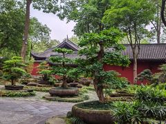 -成都武侯祠博物馆