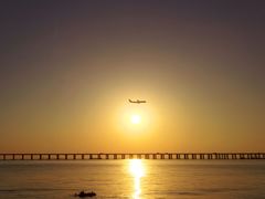 -宝安西湾红树林湿地公园