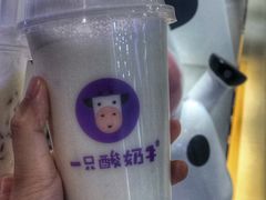 -一只酸奶牛(八一路店)