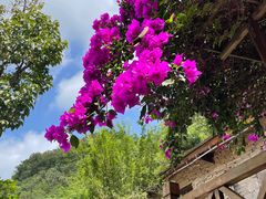 -高荡千年布依古寨旅游景区