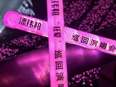-南京奥林匹克体育中心-体育馆