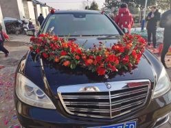 -蚂蚁婚车
