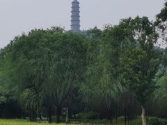 -北坞公园