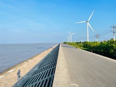 -上海长兴岛郊野公园