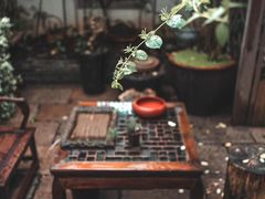 -普洱茶府(博乐广场店)