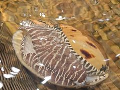 -龙宴海鲜城(经中路店)