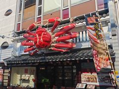 -蟹道乐(道顿堀本店)