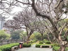 -晓港公园