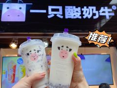 -一只酸奶牛(八一路店)