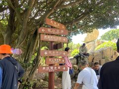 -东山风动石景区