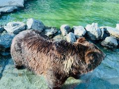 -北京野生动物园