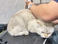 -忠犬公馆(月亮湾店)
